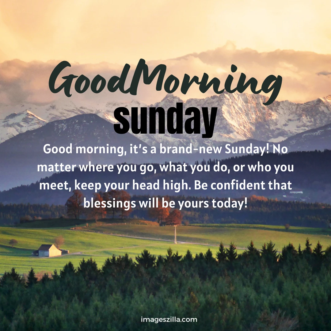 25+ Good Morning Friday Images, Wishes, And Quotes - Imageszilla