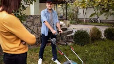 Transform Your Outdoors with Expert Lawn Services Red Deer Relies On