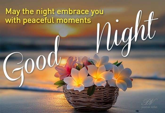 Blessed night to you Let the stars remind