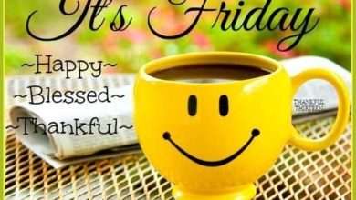 a39800ebe3a182958889d7417c4f1711