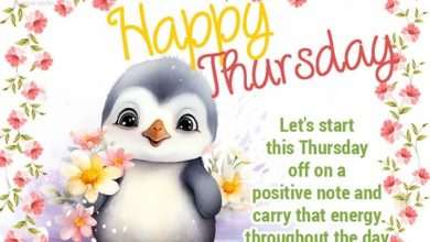 f9d63ee12e5cb39d3b4422d6e9ca7673