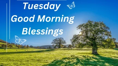 Good Morning Tuesday Blessings 1