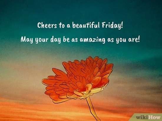 Wishing you a Friday filled with