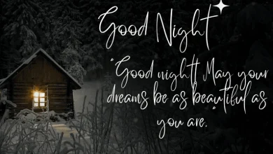 Beautiful Good Night Blessings 2