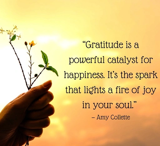 Happiness and gratitude are powerful forces that can transform your day 1