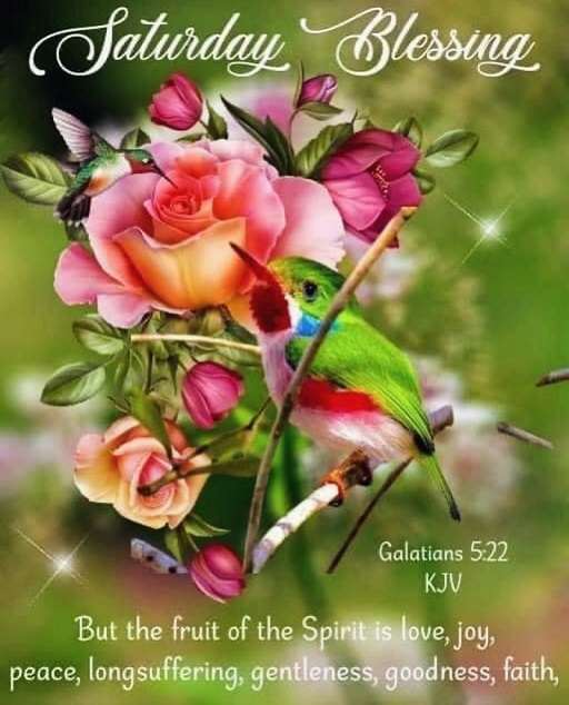 saturday blessings24