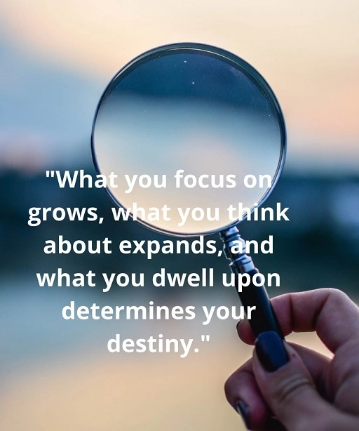 Focus grows where thanks takes root 1