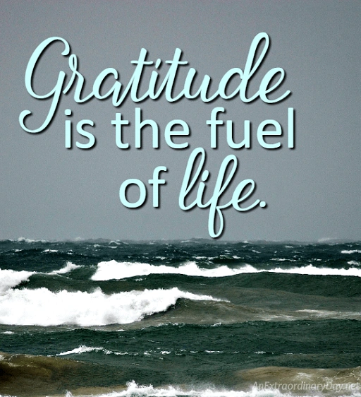 Gratitude loads the fuel action lights the fire