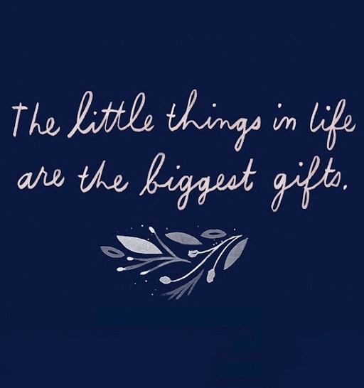 Thankfulness makes ordinary moments sing