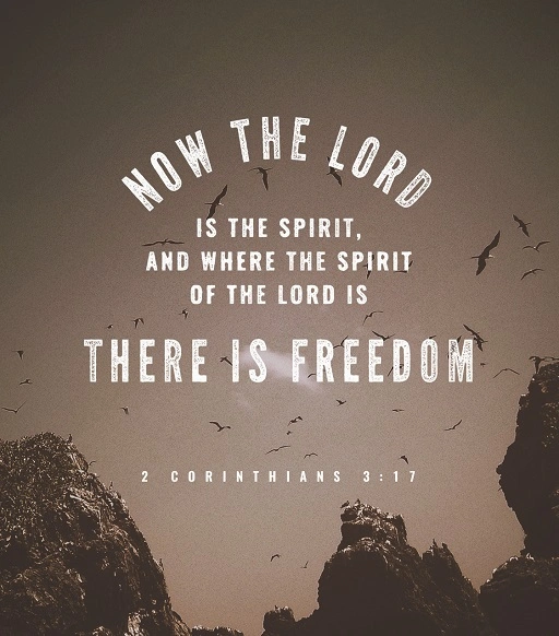 Thankfulness narrows noise to what matters